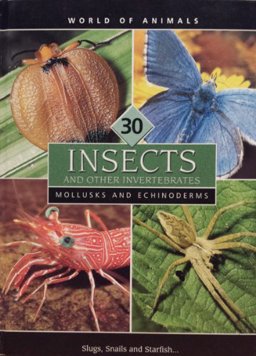 Insects and Other Invertebrates