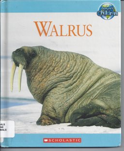 Walrus