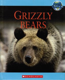 Grizzly Bears