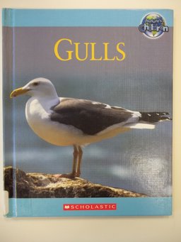 Gulls