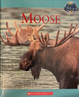 Moose