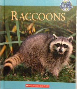 Raccoons