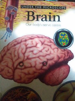 Brain