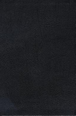 New Spirit-Filled Life Bible