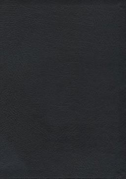 The MacArthur Study Bible