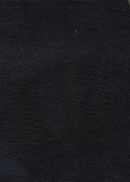 The NKJV Study Bible