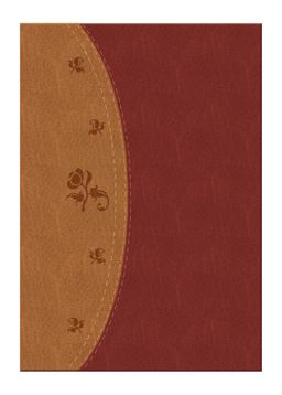 The Woman's Study Bible