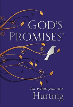 God's Promises for When You Are Hurting  9780718034177 Front Cover