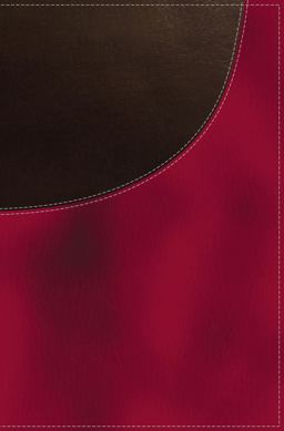 KJV Super Giant Print Reference Bible