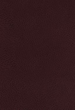 King James Study Bible, Full-Color Edition [Burgundy]  9780718079796 Front Cover