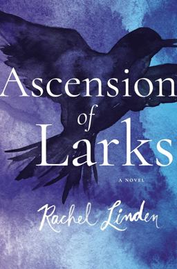 Ascension of Larks  9780718095734 Front Cover