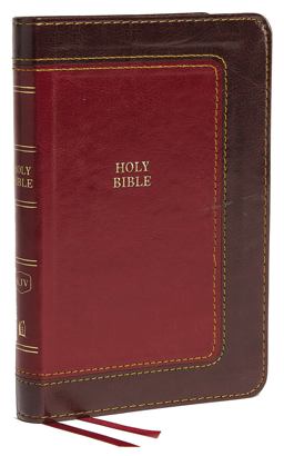 KJV, Thinline Bible, Compact, Red Letter Edition [Burgundy]