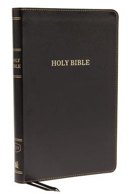KJV Thinline Bible, Standard Print, Red Letter Edition [Black]
