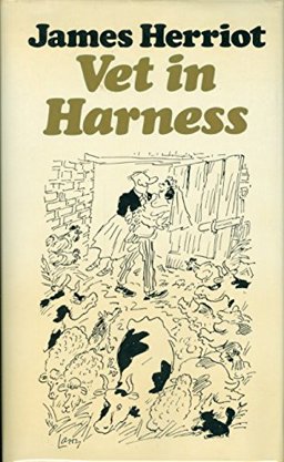 Vet in Harness Vet in Harness