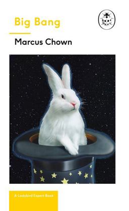 The Big Bang: a Ladybird Expert Book