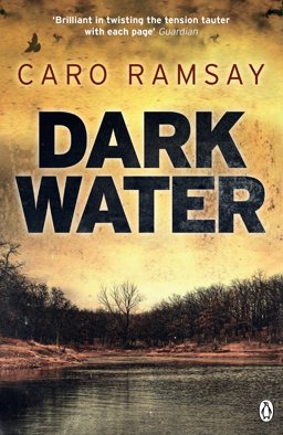 Dark Water  9780718197537 Front Cover