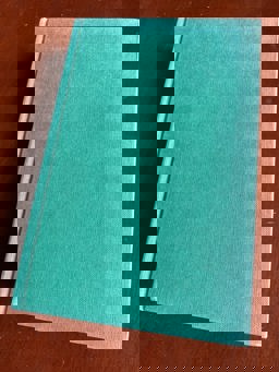 The Pilgrim's Progress