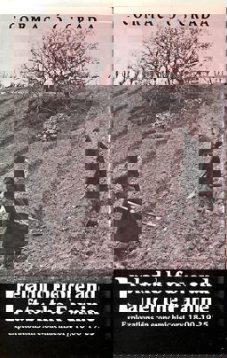 Ireland Before and after the Famine