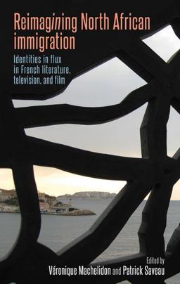 Reimagining North African Immigration Identities in Flux in French Literature, Television, and Film  9780719099489 Front Cover