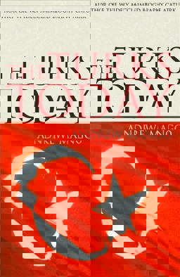 The Turks Today  9780719565953 Front Cover