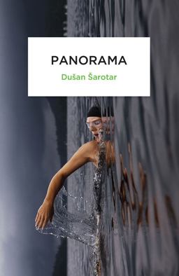 Panorama A Narrative about the Course of Events 2016 9780720619225 Front Cover