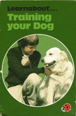 Training Your Dog