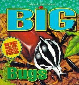 Big Bugs