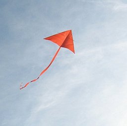 The Kite
