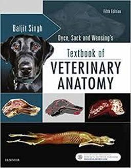 Textbook of Veterinary Anatomy  9780721613321 Front Cover