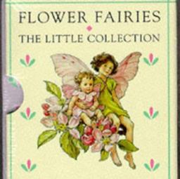 Little Flower Fairies
