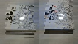 The Shy Person's Book