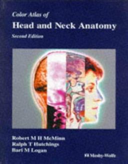 Head and Neck Anatomy Head and Neck Anatomy