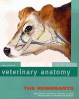 Veterinary Anatomy - The Ruminants