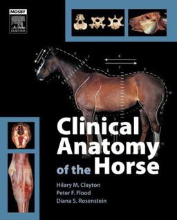 Clinical Anatomy of the Horse  9780723433026 Front Cover
