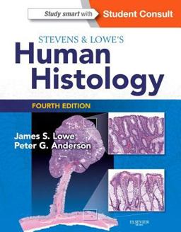 Stevens and Lowe's Human Histology 4th 9780723435020 Front Cover