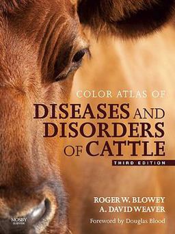 Diseases and Disorders of Cattle 3rd 9780723436027 Front Cover