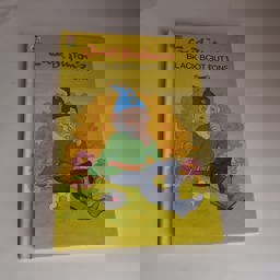 Enid Blyton's Black Boot Buttons Enid Blyton's Black Boot Buttons