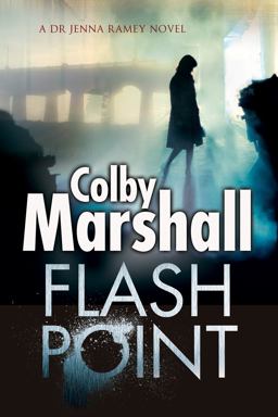 Flash Point  9780727895639 Front Cover