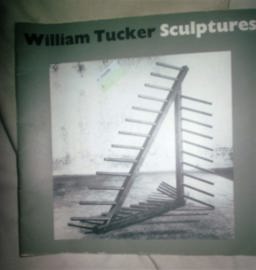 William Tucker, Sculptures