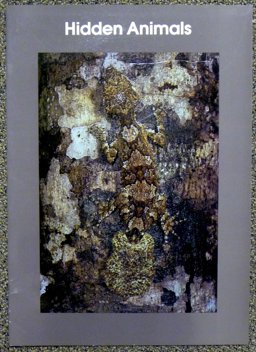 Hidden Animals
