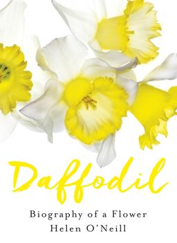 Daffodil  9780732299200 Front Cover