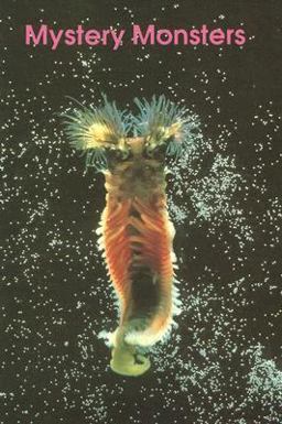 Rigby Mystery Monsters Sml Sgl