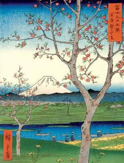 Japanese Views Portfolio Notes  9780735326408 Front Cover