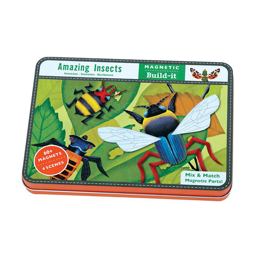 Amazing Insects Magnetic Build-It