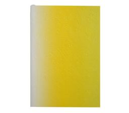 Neon Yellow B5 Ombre Paseo Notebook