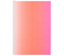 Christian Lacroix Neon Pink A6 6 X 4. 25 Ombre Paseo Notebook