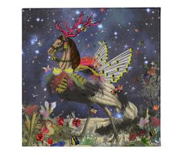 Christian Lacroix Crazy Horse Diecut Boxed Notecards