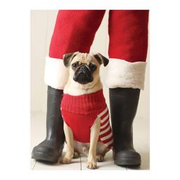 Pug Elf Holiday Half Notecard