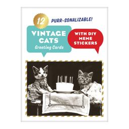 Vintage Cat Memes DIY Greeting Card Folio  9780735354227 Front Cover