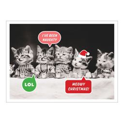 Vintage Cat Memes Half Notecards
